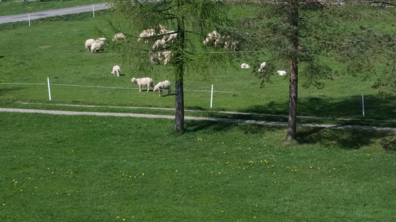 Janosik Lejlighed Bustryk Eksteriør billede